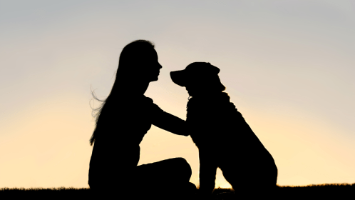Does Your Estate Plan Think of Your Pet?
