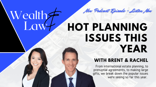 Hot Planning Issues This Year