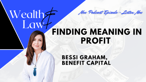 Finding Meaning in Profit